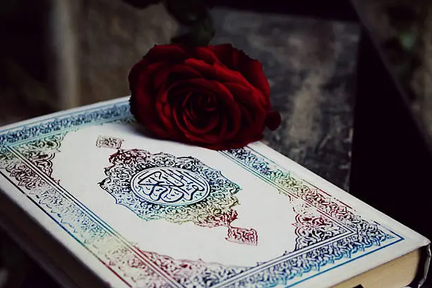Why It Is Important to Read Quran with Tajweed: A Complete Guide